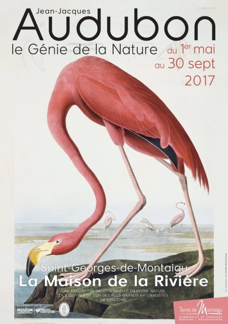 Affiche : Audubon, le Génie de la Nature - Maison de la Rivière - Terres de Montaigu
